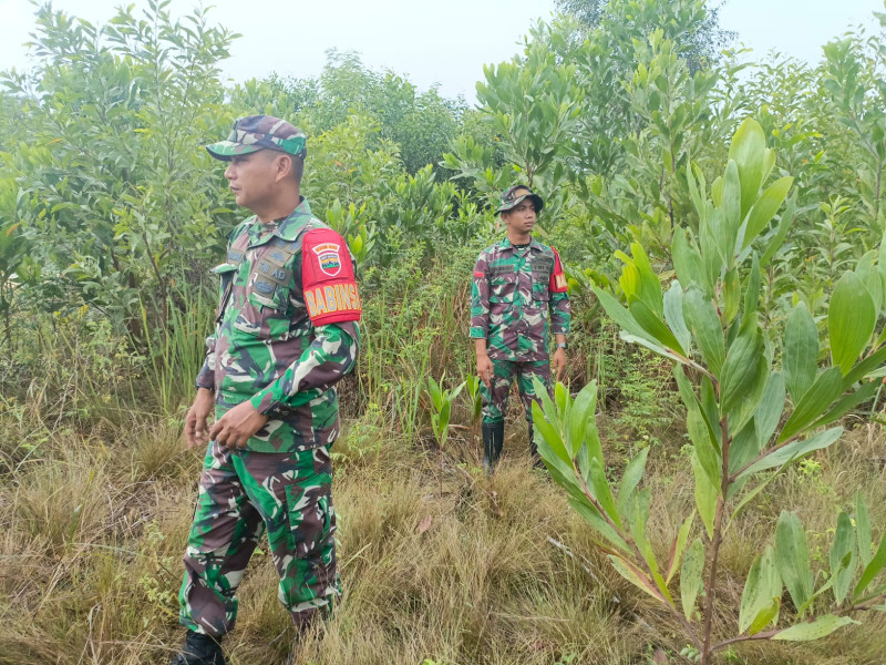 Babinsa Serka Agung Saputro, Sertu Awaluddin dan Pratu DN. Simanungkalit Berpatroli Karhutla di Jalan Tanpa Nama