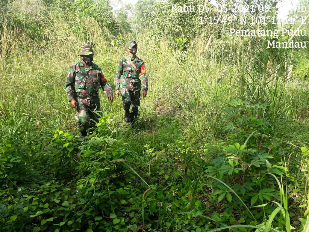 Mengurangi Hotspot, Serma Armen, Serda Rosdianto Pimpin Patroli Karhutla di Pematang Pudu