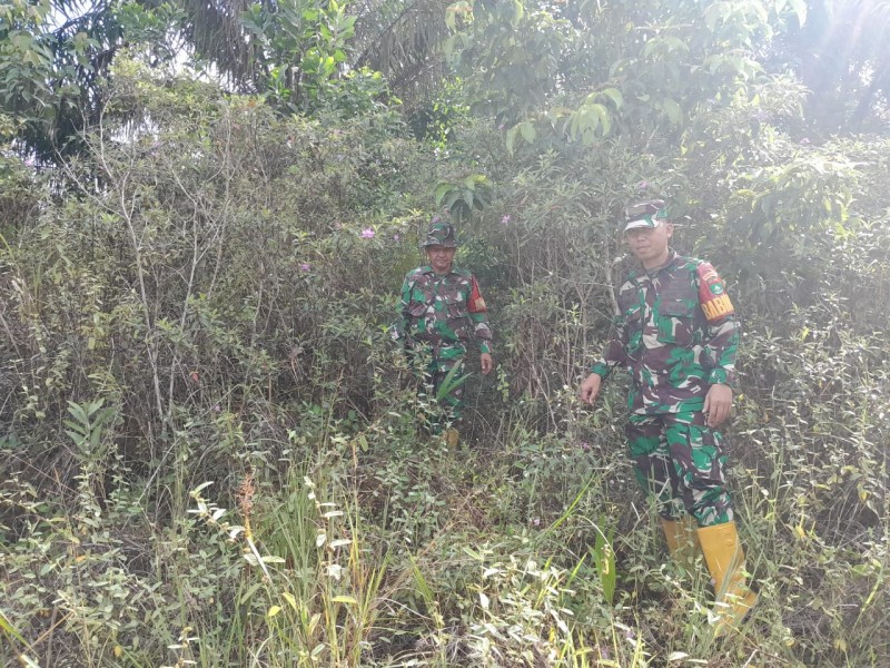 Babinsa Serma Fauzi, Sertu M.Fikri Patroli Karhutla di Pematang Pudu, Mandau, Bengkalis