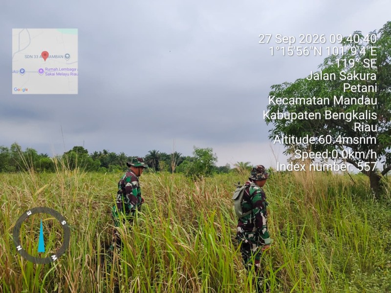 Patroli Karhutla Terus dilakukan, Babinsa Serma TR.Lase, Serda ML.Silaban cek Lahan Rawan di Desa Petani, Batsol, Bengkalis