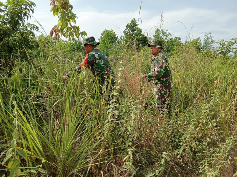 Babinsa Pelda Yulihar, Serka Z. Panjaitan dan Praka Alip Berpatroli Karhutla di Bathin Solapan