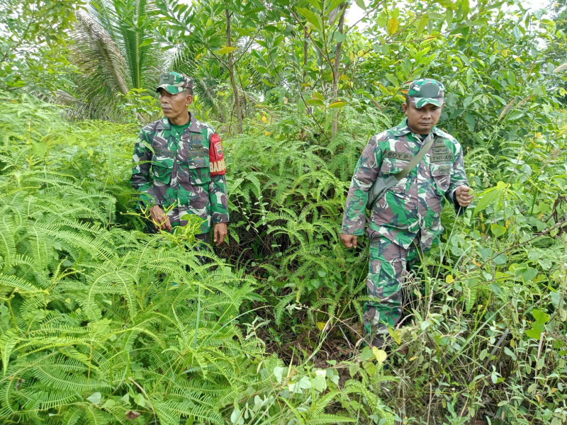 Babinsa Sertu Roy P., Sertu Robby dan Serda Zulkarnain, berpatroli Karhutla di Bekasap, Batsol