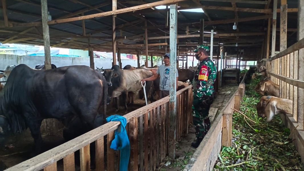 Gencar Laksanakan Pengecekkan Hewan Ternak Sqpi, di Desa Buluh Apo, Kecamatan Pinggir, Oleh Serka Roy Pardomuan