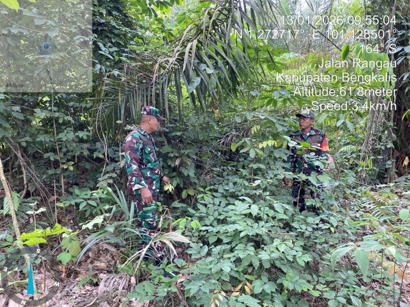 Babinsa Sertu Sihotang, Kopda Yusuf Patroli Karhutla di Jalan Rangau, Desa Petani
