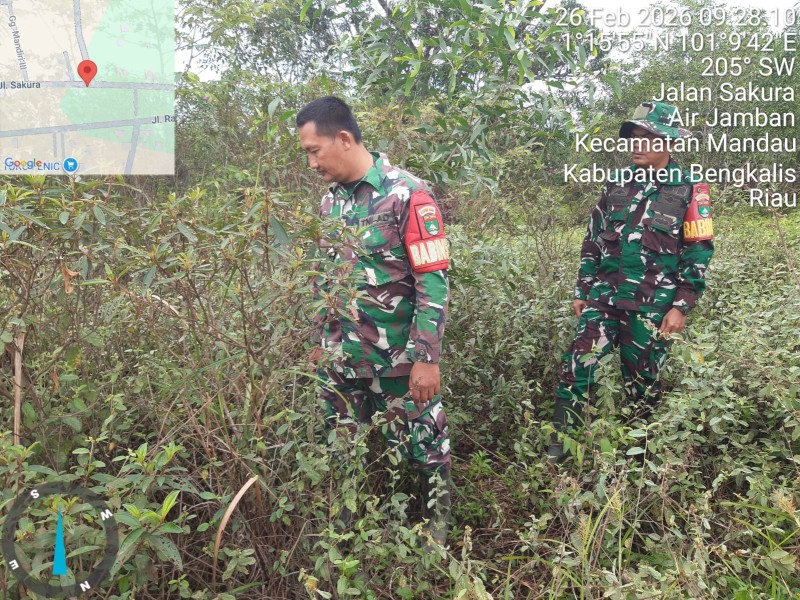 Babinsa Serma N.Saragih, Serka Agung, Serka Alinaspi Patroli Karhutla di Rangau, Kelurahan Pematang Pudu, Mandau