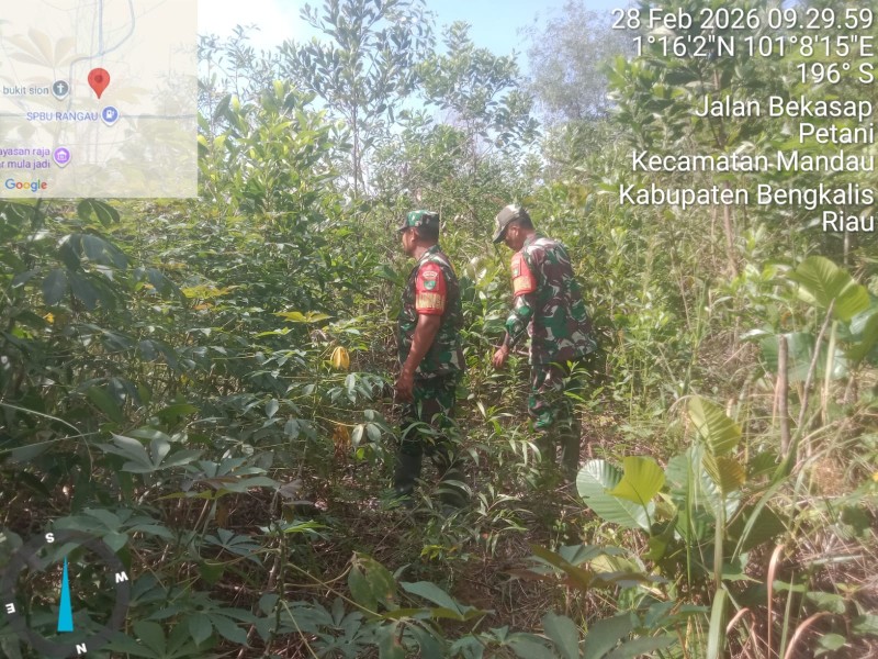 Babinsa Sertu Sutiman, Koptu Ade K, Kopda Yusup Andri W Patroli Karhutla di Desa Petani, Batsol