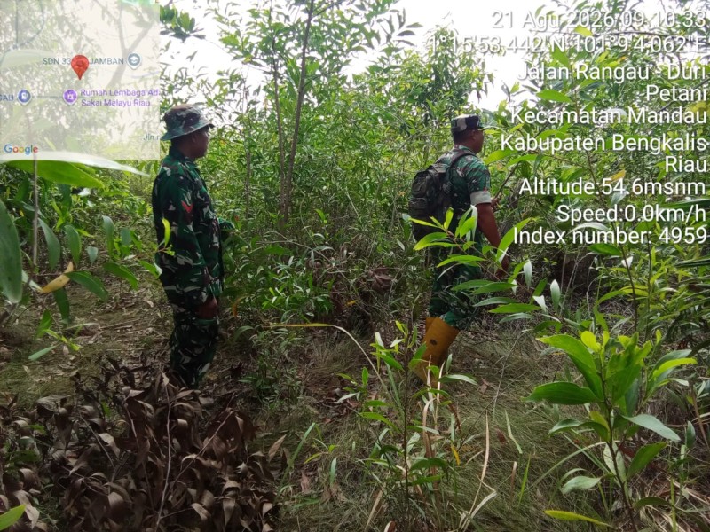Patroli Karhutla Terus dilakukan, Babinsa Koptu Ade Kurniawan, Kopda Yusuf W. Cek Area Kosong Desa Petani