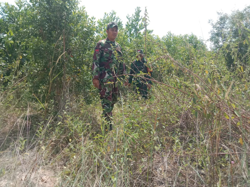 Babinsa Serda M. Silaban, Kopda Yusuf dan Praka Alif Berpatroli Karhutla di Desa Petani, Batsol