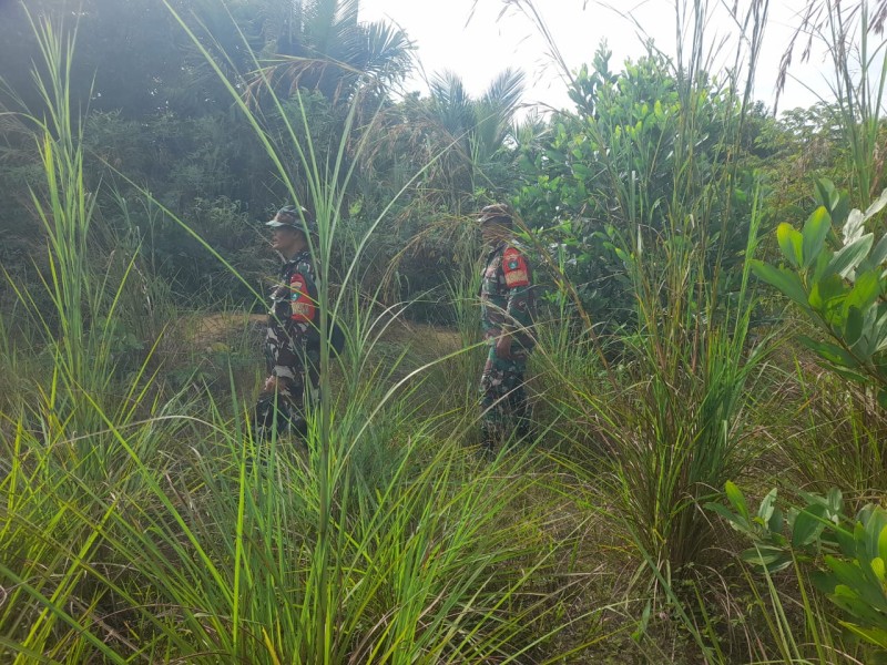 Babinsa Serka SDG Barus., Serka AliNasfi, Serda Ahmad Junaidi Berpatroli Karhutla di Desa Petani, Kecamatan Batsol