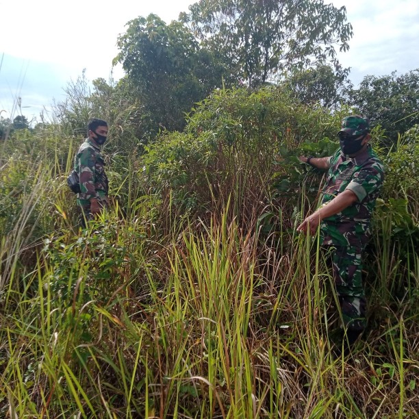 Serma Suprapto dan Serka N. Saragih Patroli Karhutla di Kelurahan Balai Raja
