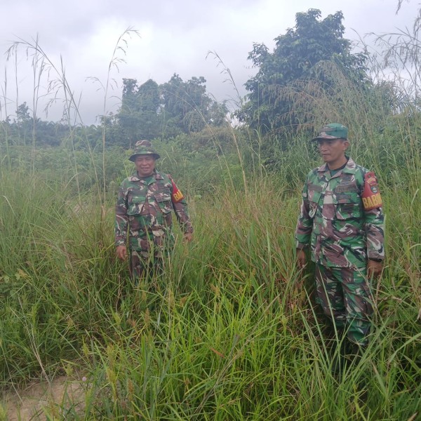 Babinsa Sertu Rosdianto, Sertu s.Handoko, Serda D.Simanjuntak Patroli Karhutla di Desa Petani, Mandau, Bengkalis