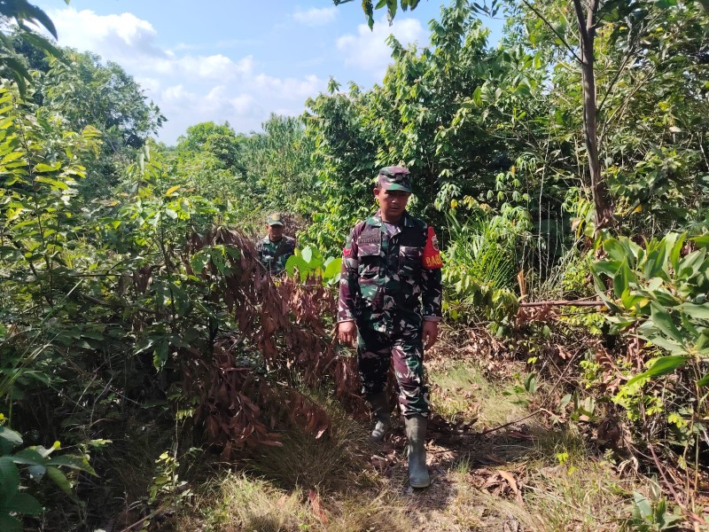 Babinsa Serka Alinasfi, Sertu Rosdiato, Koptu Bambang Berpatroli Karhutla di Kelurahan Pematang Pudu, Bengkalis
