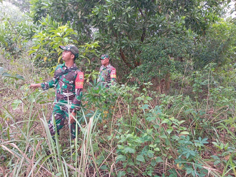 Babinsa Serma Suprapto, Serma Agusliadi dan Pratu Daniel Manungkalit, berpatroli Karhutla di Batsol