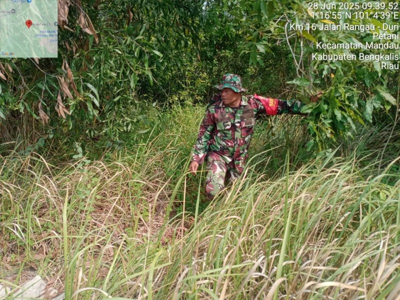 Babinsa Serka Fauzi, Serka N saragih, Sertu Sutiman Berpatroli Karhutla di Jalan Rangau KM 16, Bengkalis