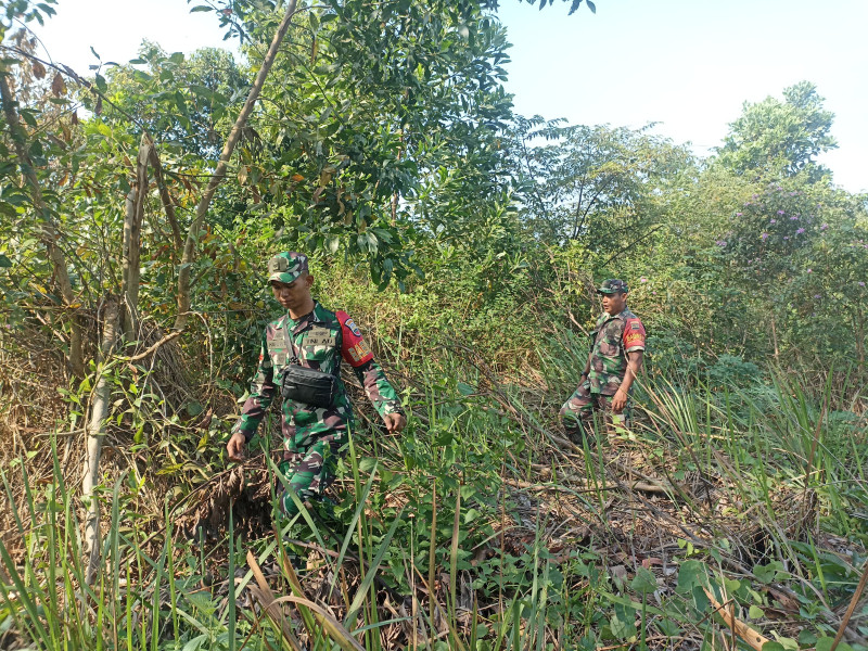 Cegah Karhutla, Babinsa Mandau Sertu Robbi, Serda Awaludin, Pratu M Hanafi di Desa Petani