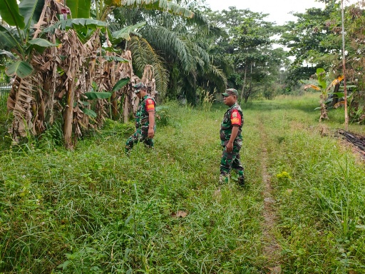 Antisipasi Karhutla, Babinsa 03/Mandau Serda P. Sinaga dan Kopda Bambang di Jalan Tanpa Nama