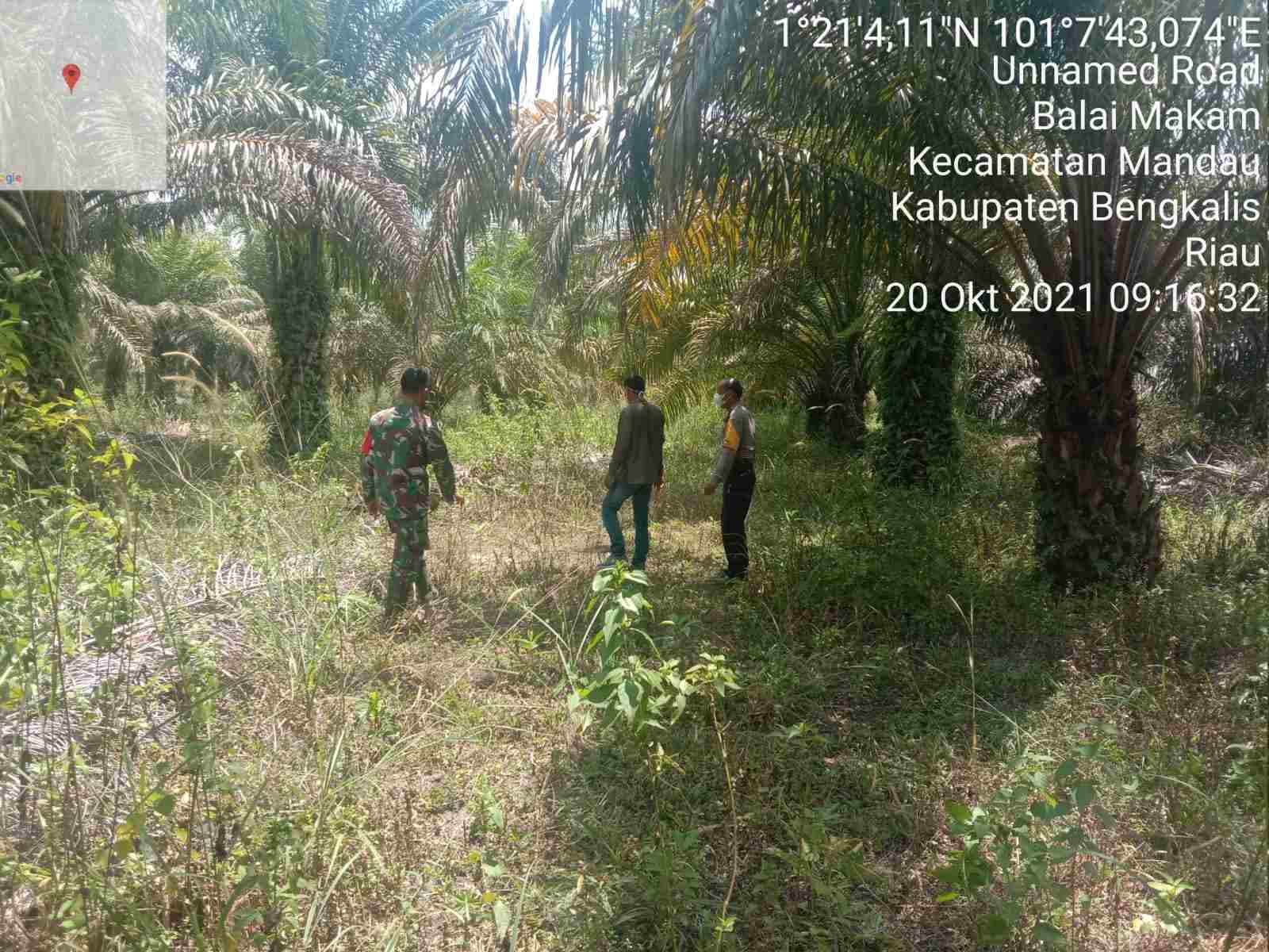 Sertu Handoko Patroli Karhutla di 2 Desa Kecamatan Bathin Solapan