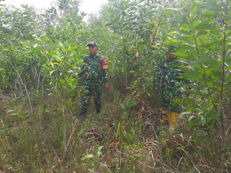 Babinsa Peltu Sigit, Serma Agus wp, Kopda Alif Patroli Karhutla di Desa Petani, Bathin Solapan, Bengkalis