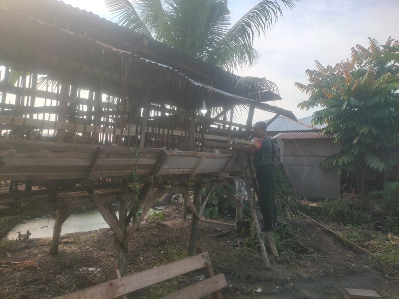Gencar Laksanakan Pengecekkan Hewan Ternak sapi, di kelurahan Gajah Sakri, Babinsa Serka SDG Barus Cek Lokasi