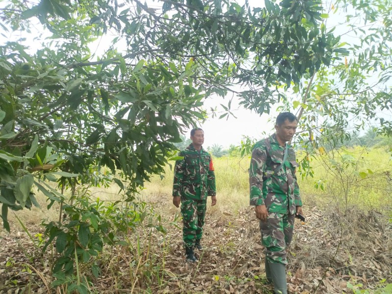 Patroli Karhutla Terus dilakukan, Babinsa Serka Agung, Sertu Joni. R cek Lahan Rawan di Desa Petani