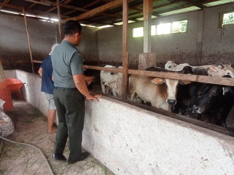 Babinsa Kopda Bambang Laksanakan Pengecekkan Hewan Ternak di Desa Pinggir