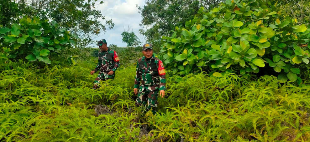 Babinsa Serda Riza, Serda Ml. Silaban dan Koptu Bambang, Berpatroli Karhutla di Petani