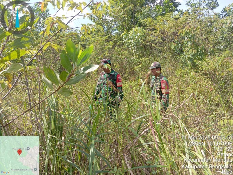 Babinsa Sertu Joni Rafdal, Serda Paino, Serda Riza Berpatroli Karhutla di Desa Petani, Batsol, Bengkalis
