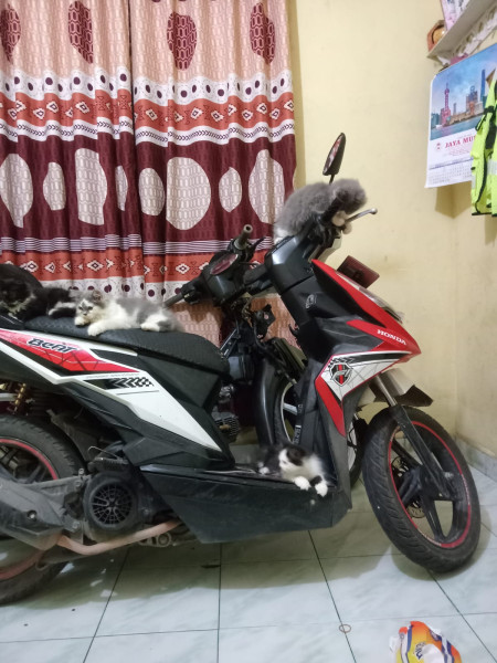 Pergi Kerja, Sepeda Motor Karyawan Swasta Pinggir, Raib di Parkiran 125 Duri