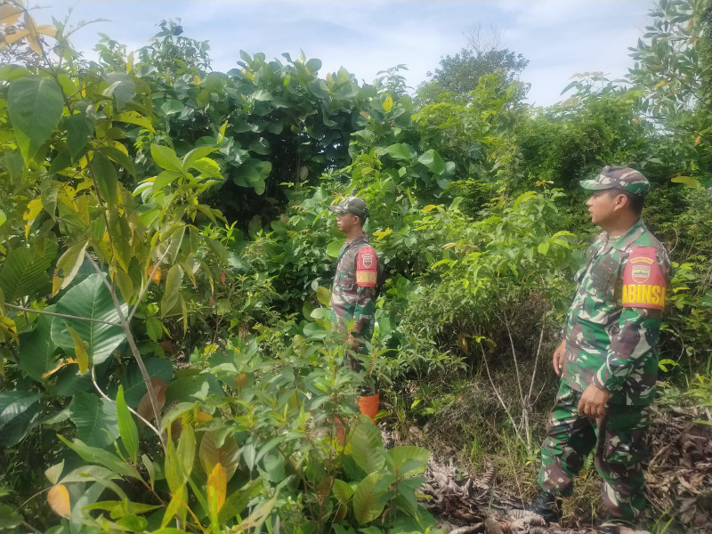 Babinsa Sertu Awaluddin, Koptu M. Khan dan Pratu Danil Berpatroli Karhutla di Desa Petani, Batsol