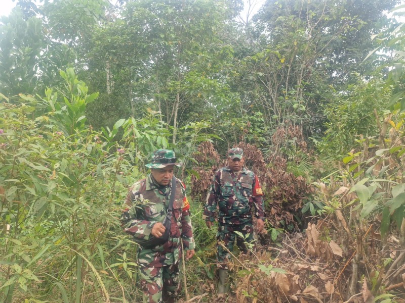 Babinsa Serma Agusliadi, Koptu M.Khan Patroli Karhutla di Jalan Siak, Desa Petani