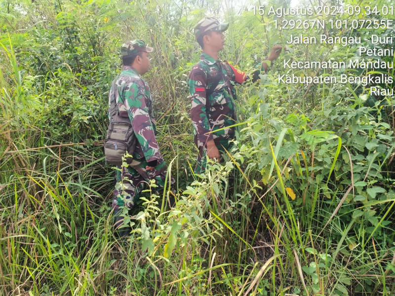 Cegah Karhutla, Babinsa Mandau Sertu Roy Pardomuan, Serda AT. Silaban dan Pratu DN. Simanungkalit Laksaksanakan Patroli di Jalan Rangau