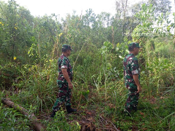 Babinsa Koramil 03/Mandau Serka Fauzi dan Sertu Alinaspi Gencar Laksanakan Patroli Karhutla di Mandau