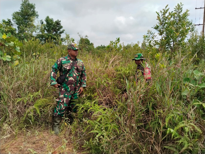 Babinsa Serma Suprapto, Sertu Roy dan Kopda S. Nasution Berpatroli Karhutla di Pematang Pudu, Mandau
