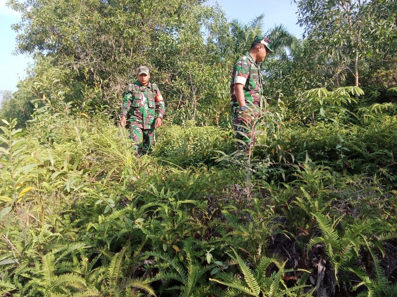 Babinsa Sertu Awaludin, Koptu Ade K Patroli Karhutla di Jalan Siak, Desa Petani, Bathin Solapan, Bengkalis