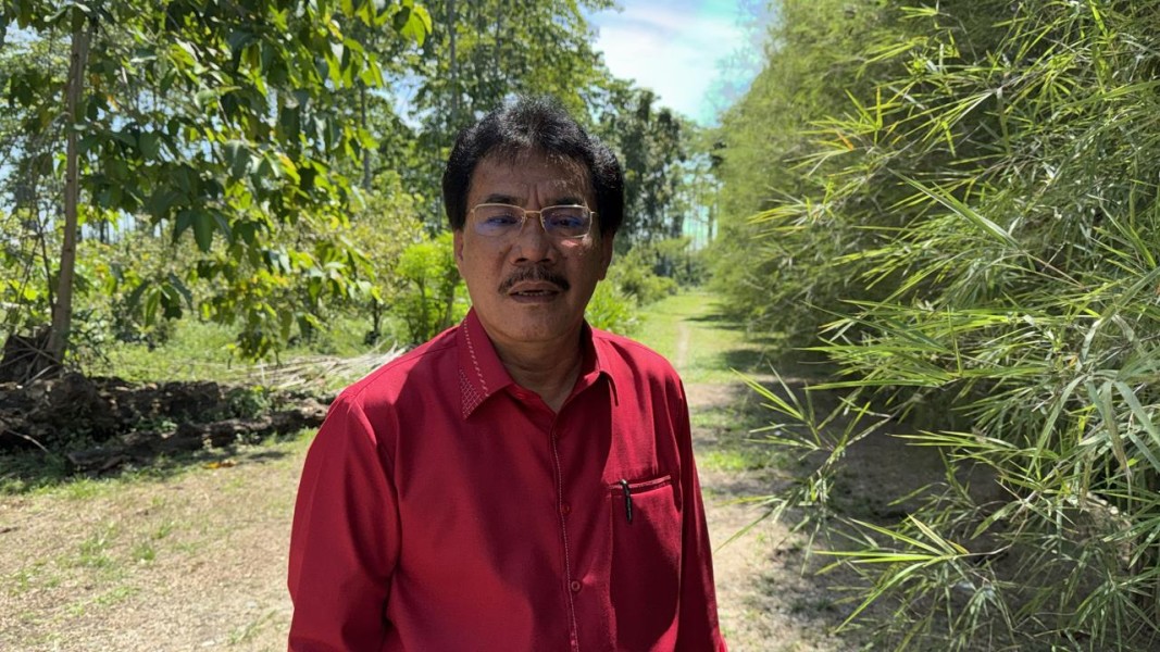 Tanggapan APHI Riau Soal Bupati Siak Dan PT SSL
