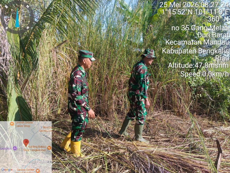 Babinsa Sertu M. Fikri, Sertu FS. Sihotang Patroli Karhutla di Kelurahan Air Jamban, Mandau