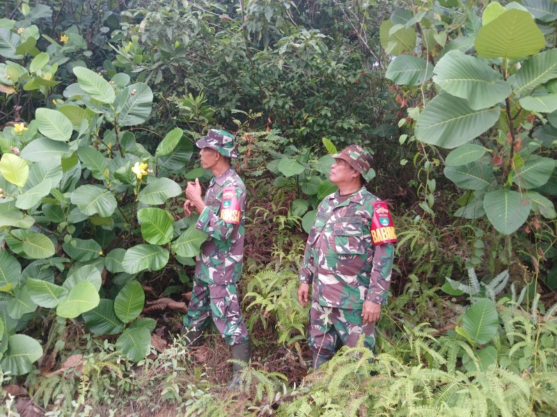 Babinsa Sertu Robbi, Sertu Rosdianto, Serka D.Simajuntak Patroli Karhutla di Desa Petani, Batsol