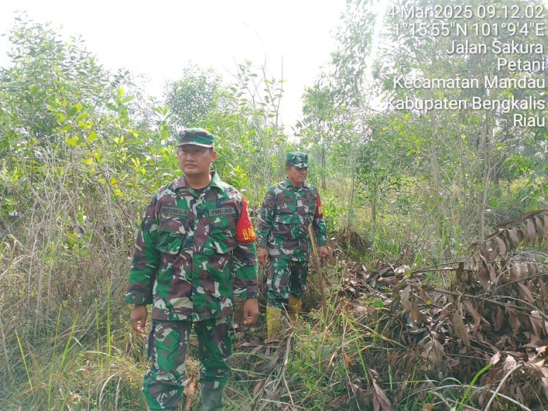 Babinsa Serka Fauzi, Serka Agung Saputro dan Pratu Kifron, Berpatroli Karhutla di Desa Petani, Batsol