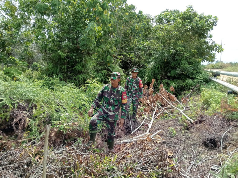 Upaya Cegah Karhutla, Babinsa Sertu Alinaspi, Sertu Robby, Serda Z. Panjaitan, di Jalan Rangau, Bathin Solapan