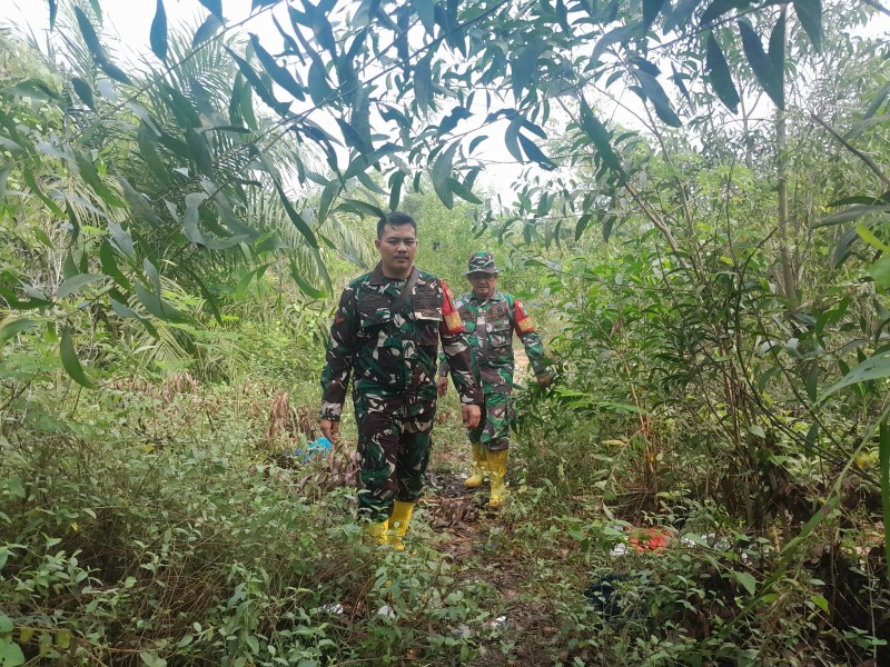 Patroli Karhutla Terus dilakukan, Babinsa Serma Fauzi, 0Kopda Alif Alfindo cek Lahan Rawan di Desa Petani, Batsol, Bengkalis