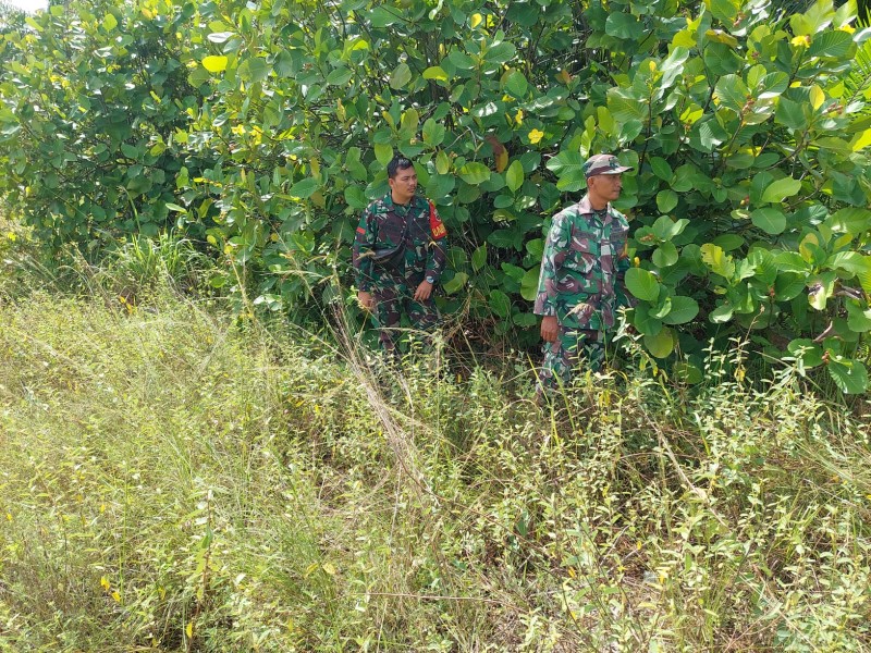 Babinsa Serda D Simanjuntak, Praka Alif Alfindo Berpatroli Karhutla di Desa Petani, Kecamatan Batsol