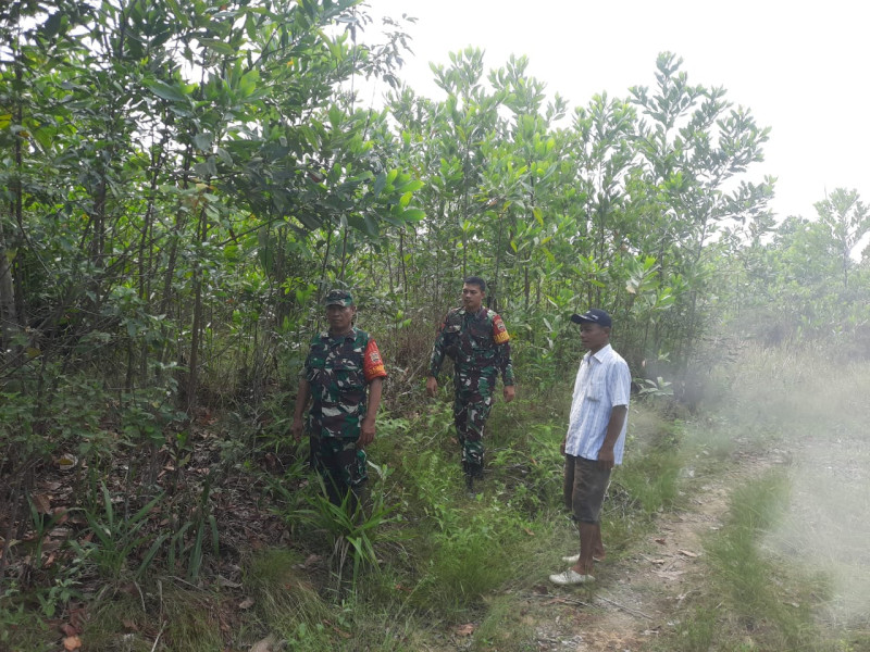 Terus Laksanakan Patroli, Babinsa Koramil 03/Mandau Sertu Rosdianto dan Praka Alif Alfindo di Desa Petani