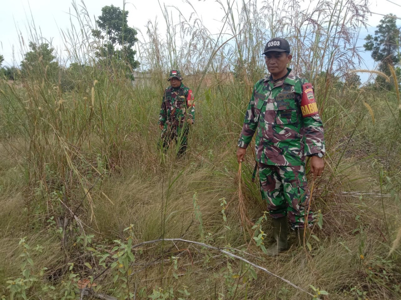 Babinsa Sertu M. Fikri, Serda D. Simanjuntak dan Serda ML. Silaban Berpatroli Karhutla di Desa Petani