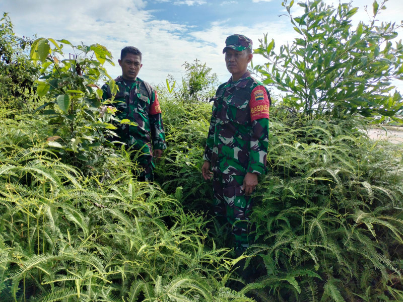 Terus Laksanakan Patroli, Babinsa Koramil 03/Mandau Sertu Handoko, Serda AT. Silaban dan Kopda Bambang di RT 14 RW 08, Pematang Pudu