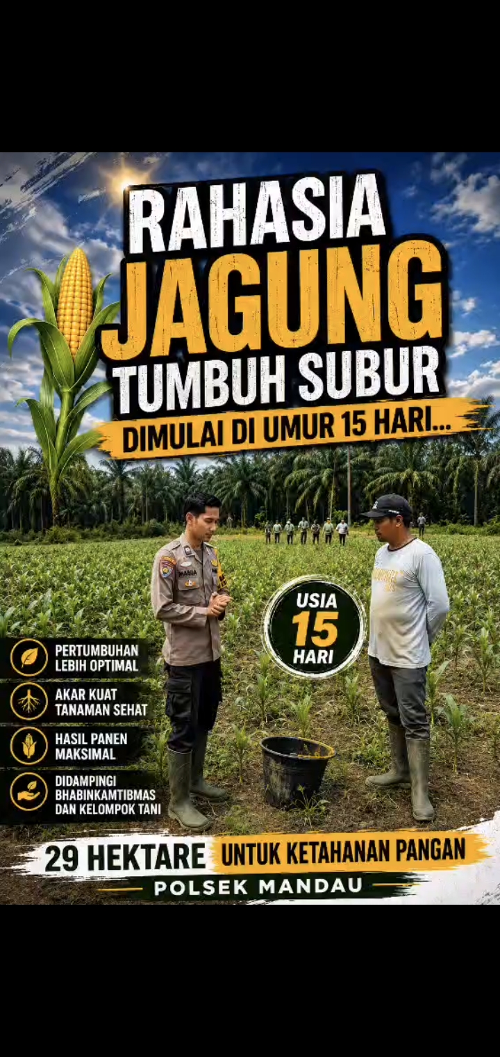 Bhabinkamtibmas Briptu Maula Salsabila Cek Ketahanan Pengan Di Desa Batin Betuah