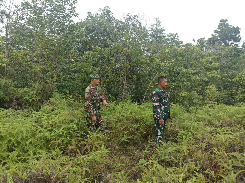 Babinsa Sertu Robby, Koptu Bamban, Praka Alif, Berpatroli Karhutla di Jalan Bekasap Bangko