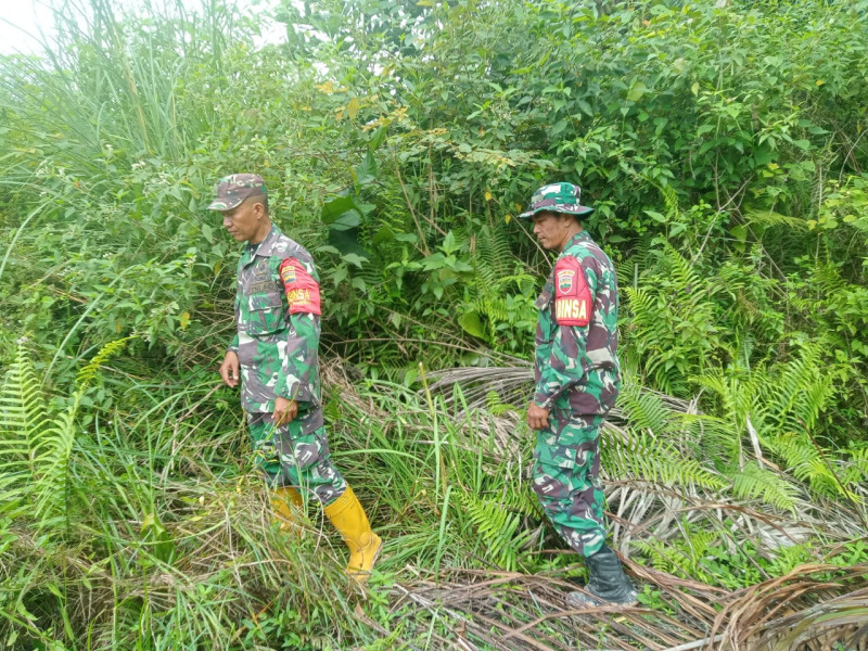 Babinsa Sertu Handoko, Sertu Joni, Kopda P. Samosir, berpatroli Karhutla di Desa Petani, Batsol