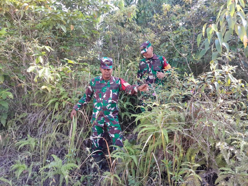 Babinsa Serma Fauzi, Sertu M fikri, Serda Reza H Patroli Karhutla di Kelurahan Air Jamban
