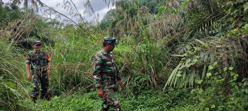 Babinsa Koramil 03/Mandau Serda Awaluddin dan Koptu ML. Silaban, Gencar Laksanakan Patroli Karhutla di Desa Sebangar Batsol