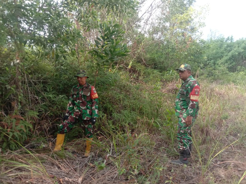 Babinsa Serma Agus wp, Sertu Handoko Patroli Karhutla di Desa Petani, Batsol